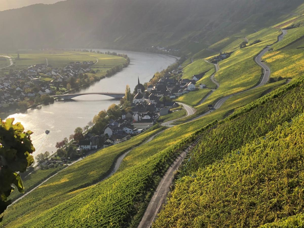 Weingut Lehnert-Spaeter Piesport Εξωτερικό φωτογραφία